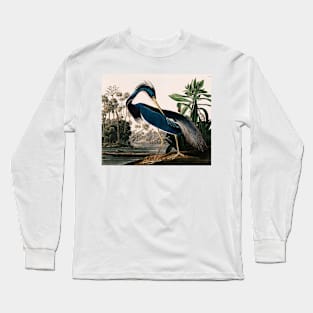 Bird of America  Bird, bird lover, america, beautiful  Public domain painting by John James Audubon Long Sleeve T-Shirt